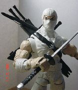 Storm Shadow