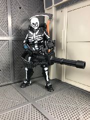 Skeleton Trooper and Bones