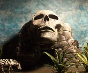 Skull Cave