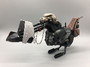 Lobo's Ride