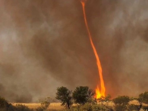 fire tornado.jpg